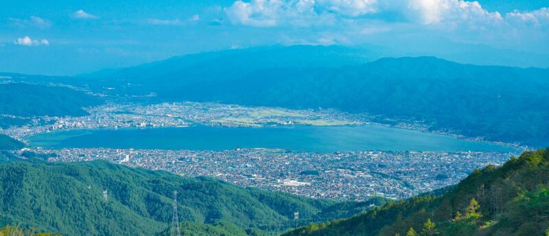 生活支援・代行事業｜便利屋アルパカ隊