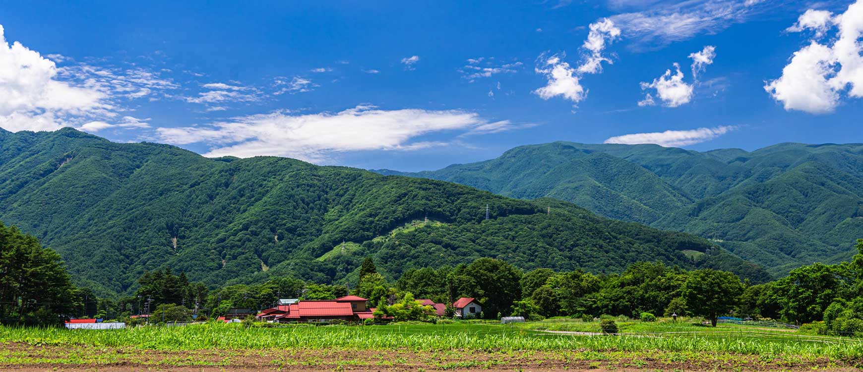 不動産事業|富士見エリア専門